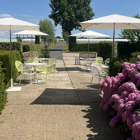 Tannine Et Cuisine Jabbeke (West-Flanders) Exterior foto
