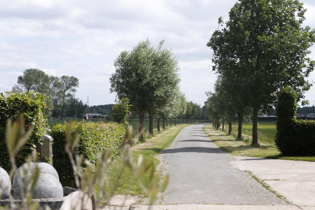 Tannine Et Cuisine Jabbeke (West-Flanders) Exterior foto