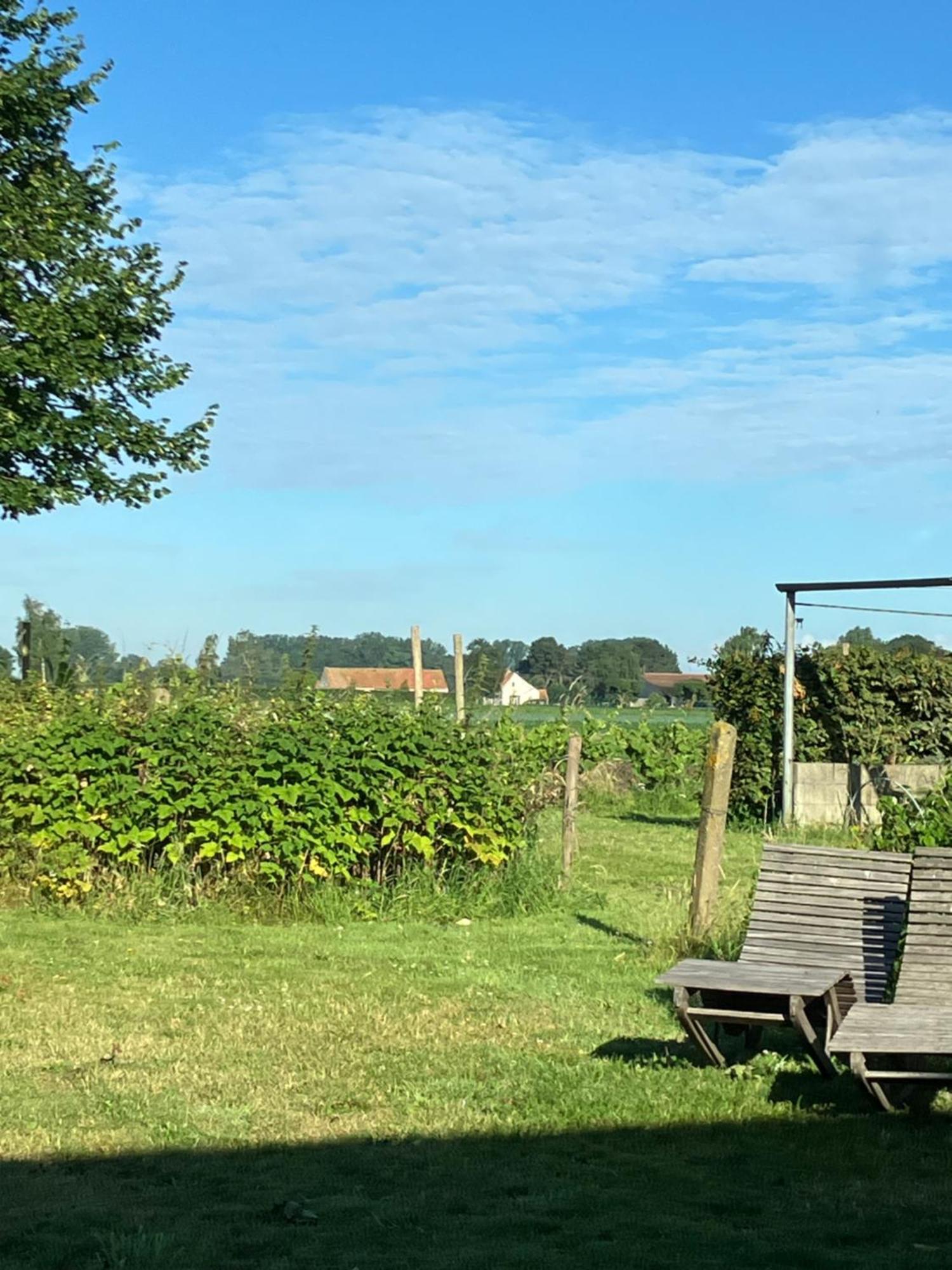 Tannine Et Cuisine Jabbeke (West-Flanders) Exterior foto