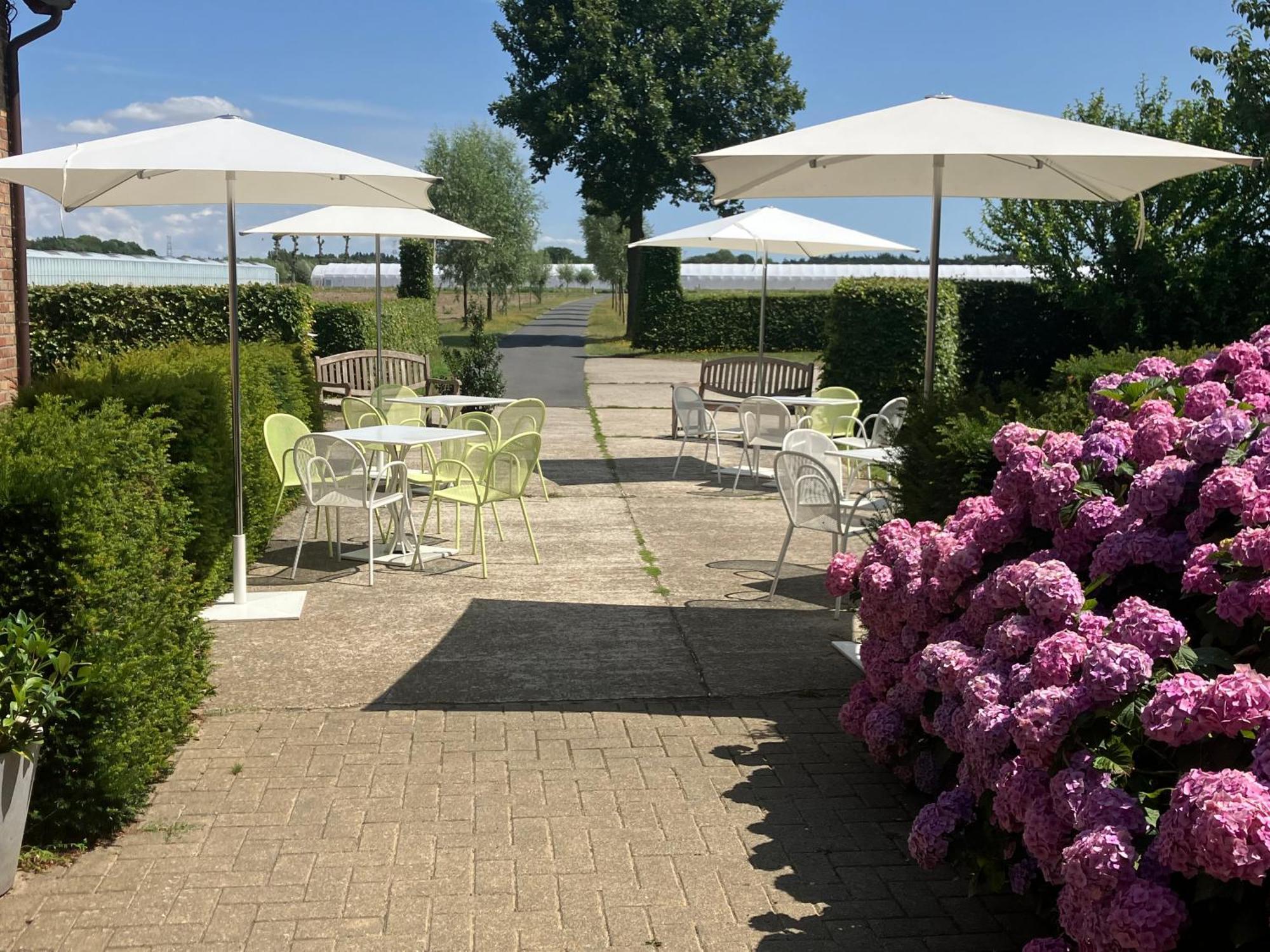Tannine Et Cuisine Jabbeke (West-Flanders) Exterior foto